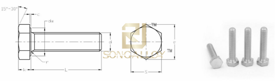สลักเกลียวไทเทเนียมบริสุทธิ์ GB5783