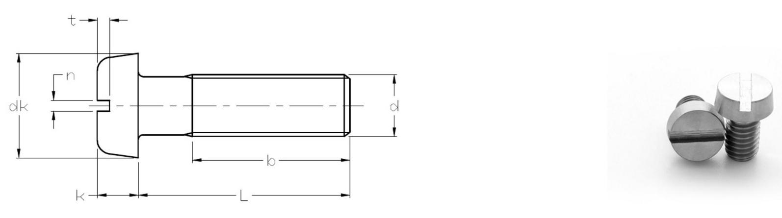 สกรูหัวกระทะไทเทเนี่ยม Slotted