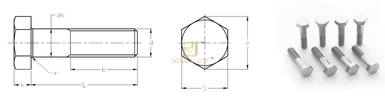asme b18.2.1 น็อตหกเหลี่ยมไทเทเนียมขนาด
