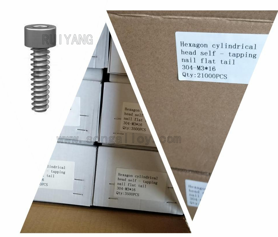 ภายใน Hex Head Allen Self Tapping Screws