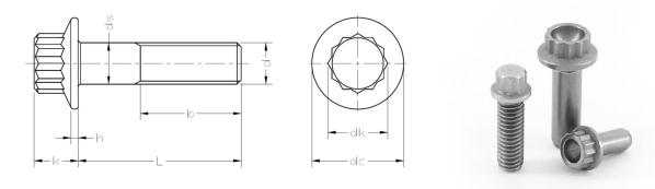 ANSI ASME B18.2.5 สกรูหน้าแปลน 12 จุด